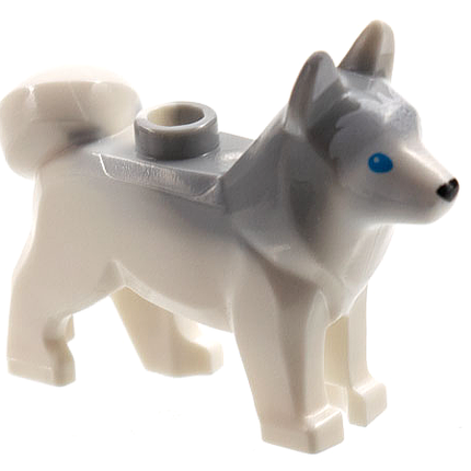 Collection image for: Dogs