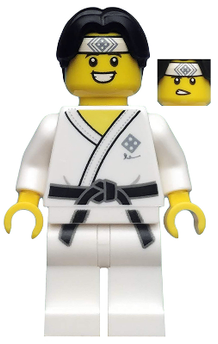 Minifig col367