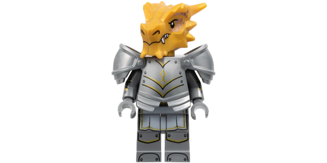 Minifig coldnd04