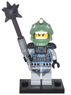 Set coltlnm-13