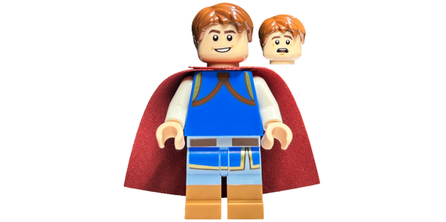 Minifig dis135