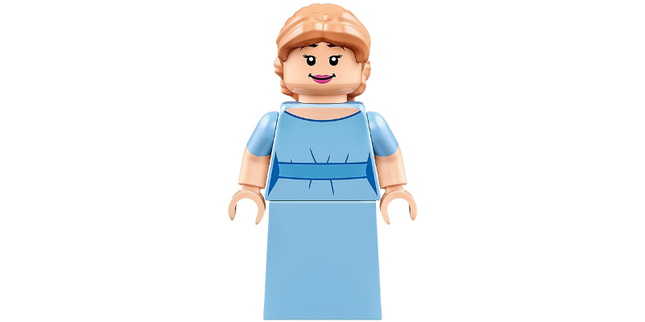 Minifig dis139