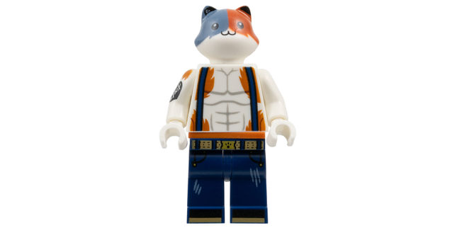 Minifig fort008