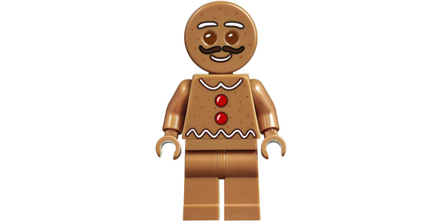 Minifig hol169
