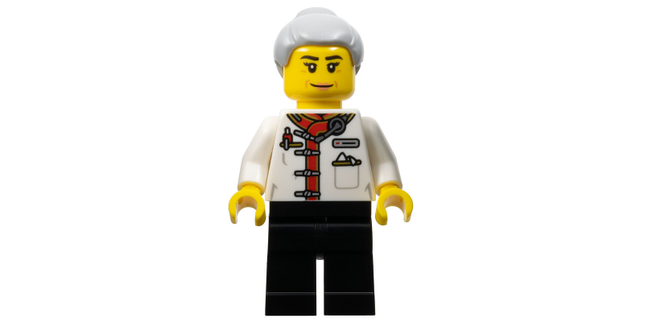 Minifig hol340