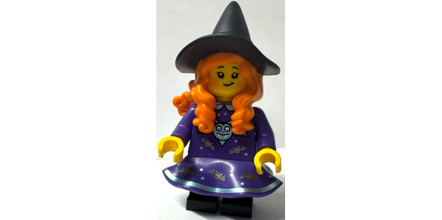 Minifig hol397