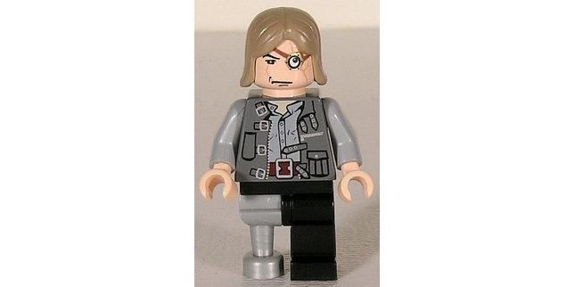 Minifig hp070