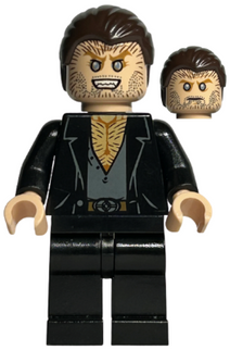 Minifig hp091
