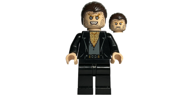 Minifig hp091