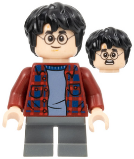 Minifig hp143