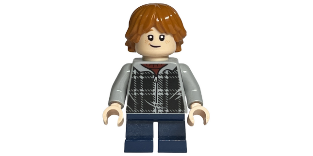 Minifig hp154