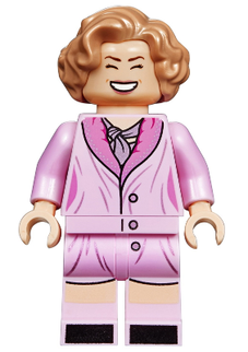 Minifig hp164