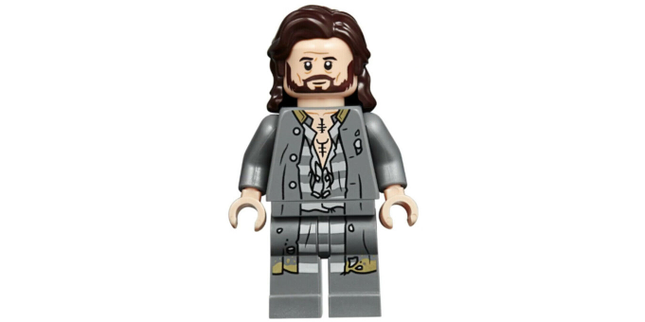 Minifig hp174