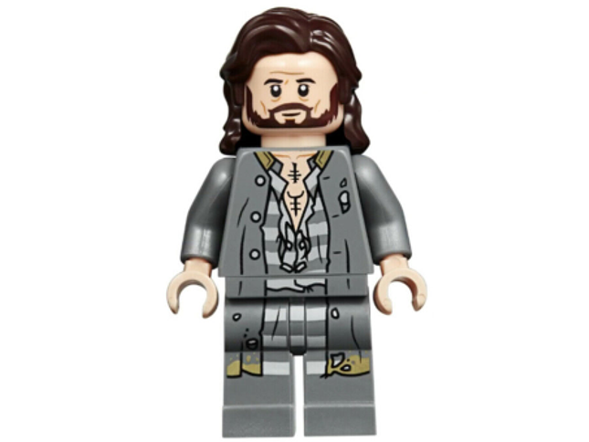 Minifig hp174