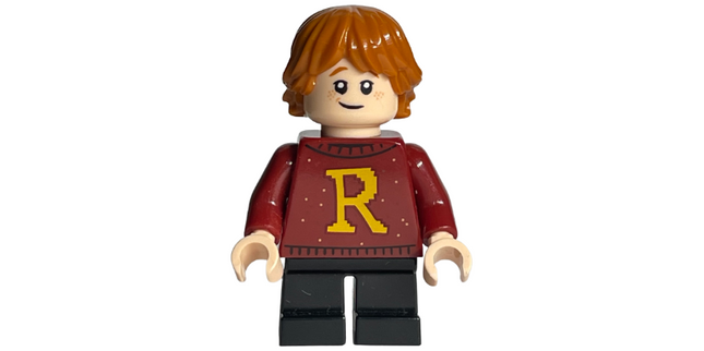 Minifig hp207