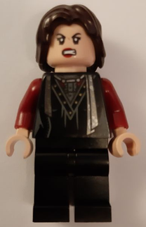 Minifig hp210