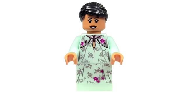 Minifig hp259