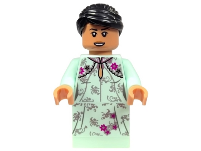 Minifig hp259