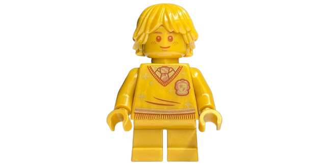 Minifig hp294