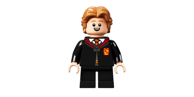 Minifig hp304