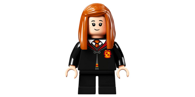 Minifig hp305