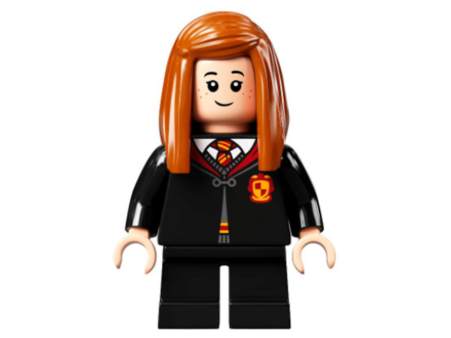 Minifig hp305