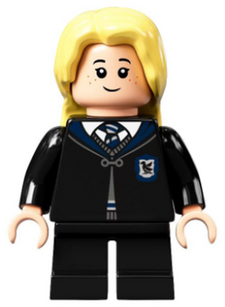 Minifig hp307