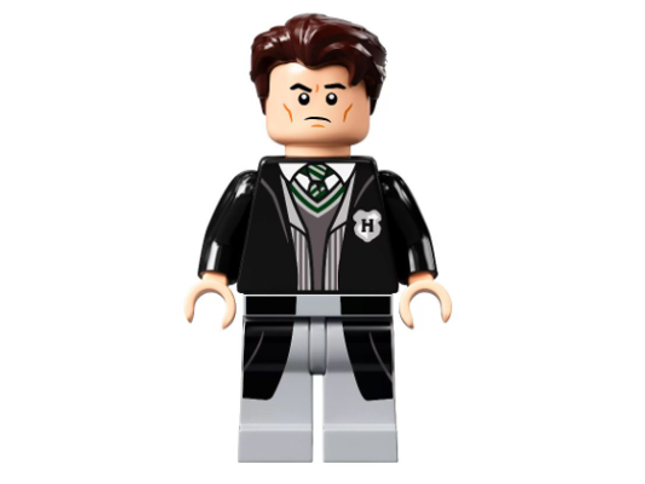 Minifig hp311