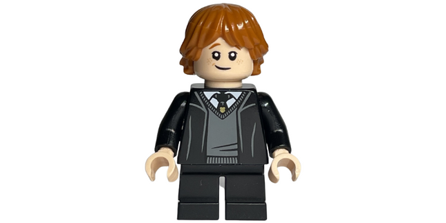 Minifig hp319