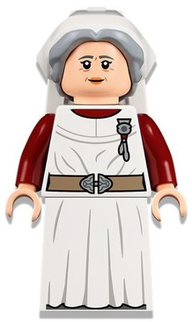 Minifig hp325