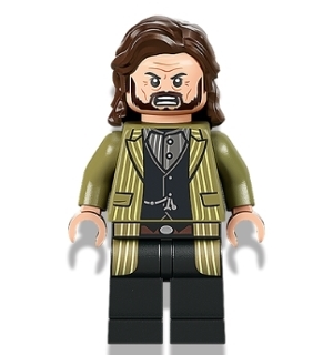 Minifig hp337