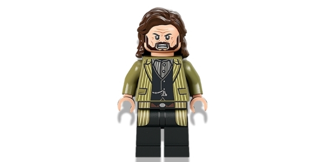 Minifig hp337