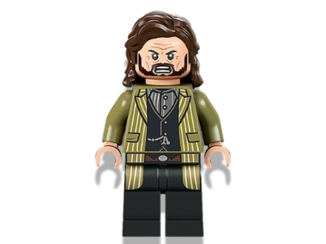 Minifig hp337