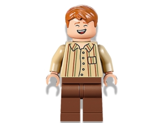 Minifig hp343