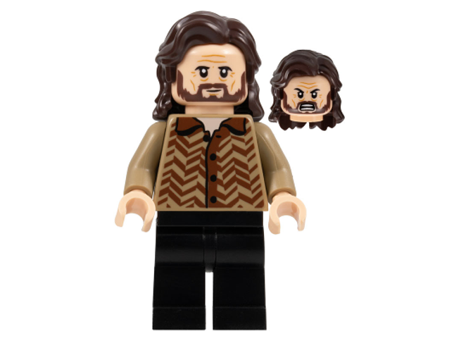 Minifig hp371