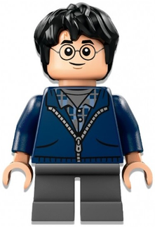 Minifig hp495
