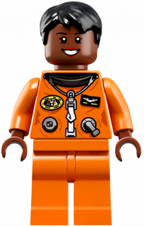 Minifig idea034