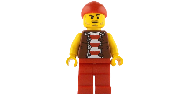 Minifig idea237