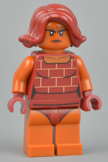 Minifig incr009