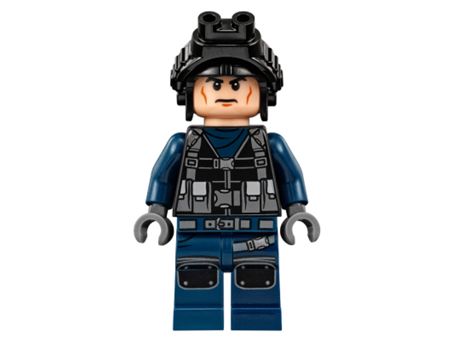 Minifig jw036