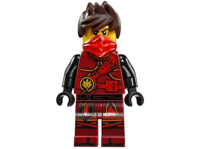 Minifig njo274