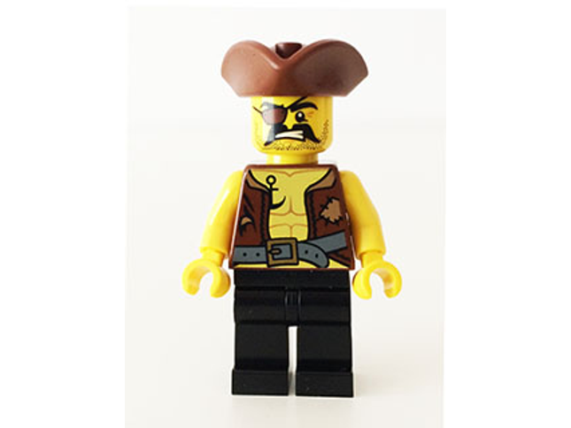 Minifig pi162