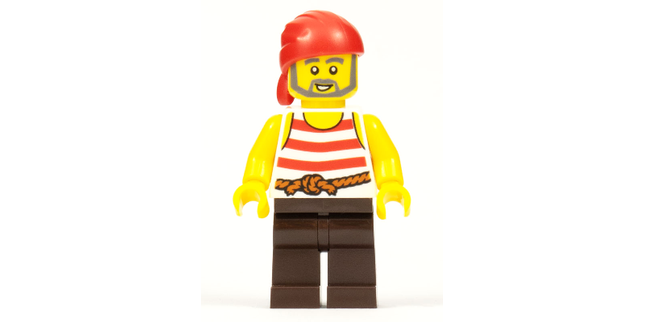 Minifig pi179