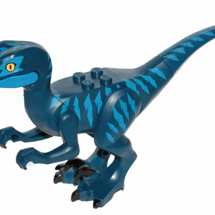 Part raptor11