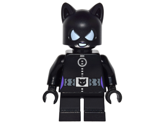 Minifig sh0243