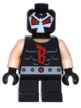 Minifig sh0245