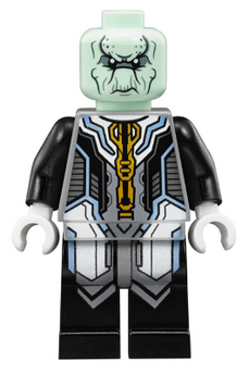 Minifig sh0508