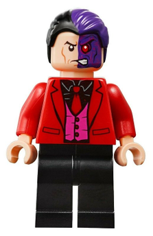 Minifig sh0594