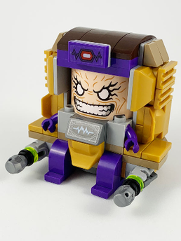 Minifig sh0656s