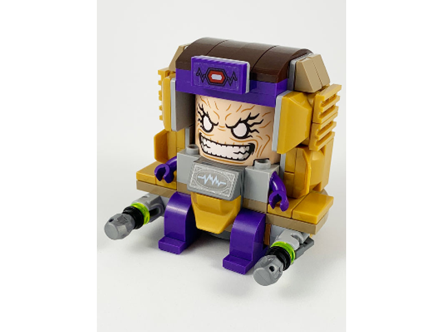 Minifig sh0656s